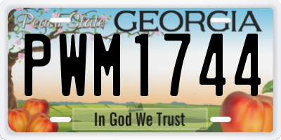 GA license plate PWM1744