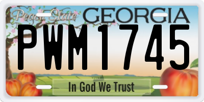 GA license plate PWM1745