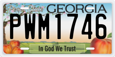 GA license plate PWM1746