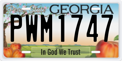 GA license plate PWM1747