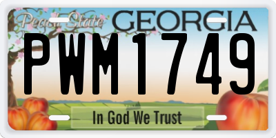 GA license plate PWM1749