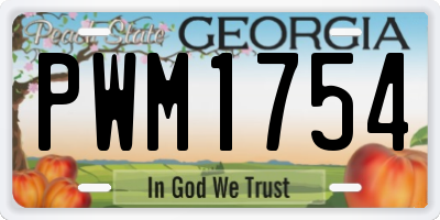 GA license plate PWM1754