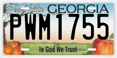 GA license plate PWM1755