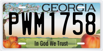 GA license plate PWM1758