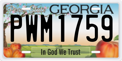 GA license plate PWM1759