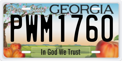 GA license plate PWM1760