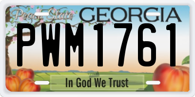 GA license plate PWM1761