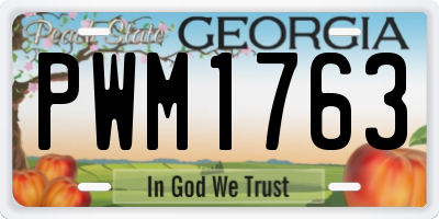 GA license plate PWM1763