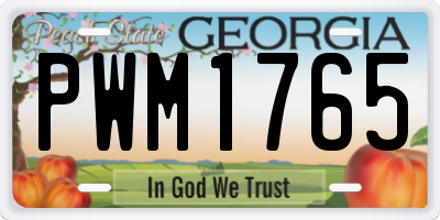 GA license plate PWM1765