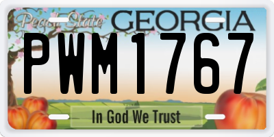 GA license plate PWM1767