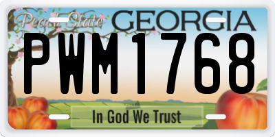 GA license plate PWM1768