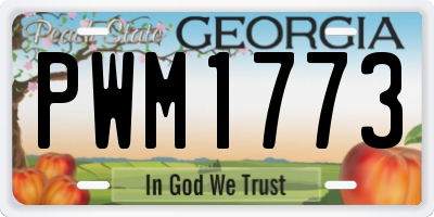 GA license plate PWM1773