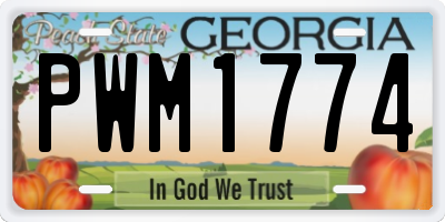 GA license plate PWM1774