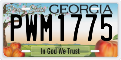 GA license plate PWM1775