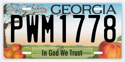 GA license plate PWM1778