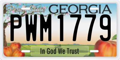 GA license plate PWM1779