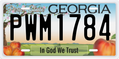 GA license plate PWM1784
