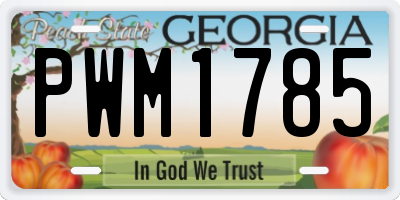 GA license plate PWM1785