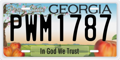 GA license plate PWM1787