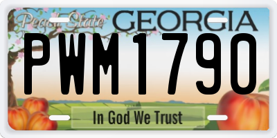 GA license plate PWM1790