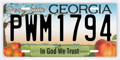 GA license plate PWM1794