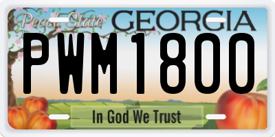 GA license plate PWM1800
