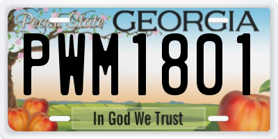 GA license plate PWM1801
