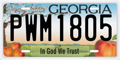 GA license plate PWM1805