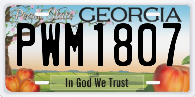 GA license plate PWM1807