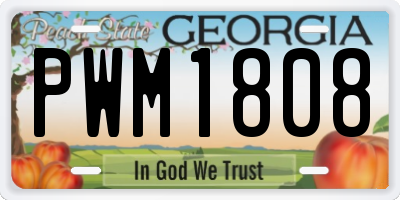 GA license plate PWM1808