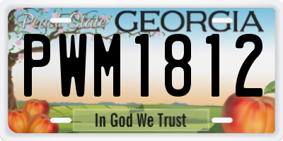 GA license plate PWM1812