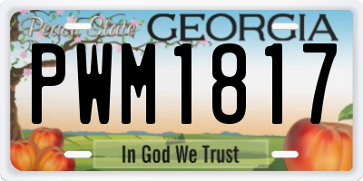 GA license plate PWM1817