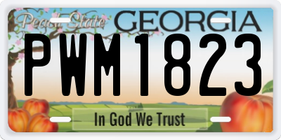 GA license plate PWM1823