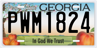 GA license plate PWM1824