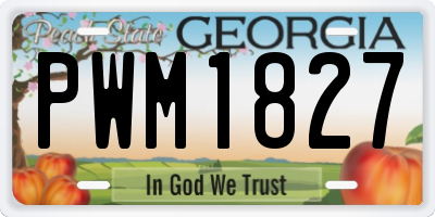 GA license plate PWM1827