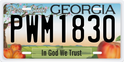 GA license plate PWM1830