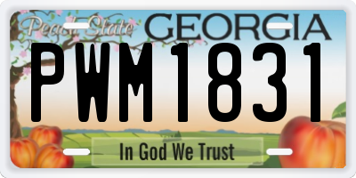 GA license plate PWM1831