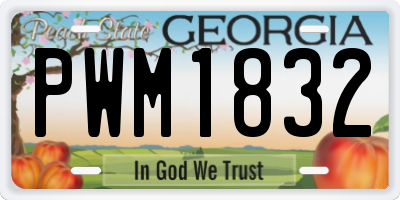 GA license plate PWM1832