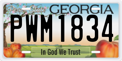 GA license plate PWM1834