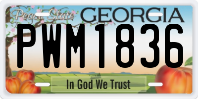 GA license plate PWM1836