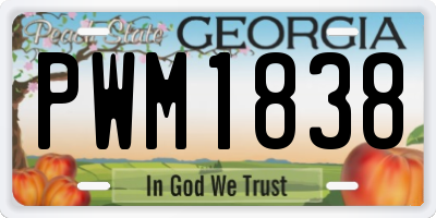 GA license plate PWM1838