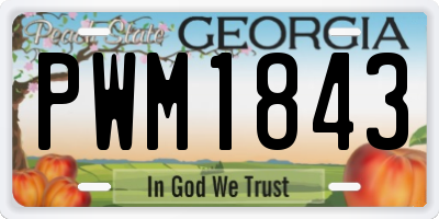 GA license plate PWM1843
