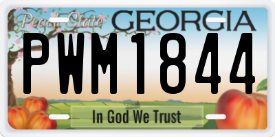 GA license plate PWM1844