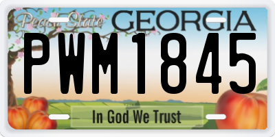 GA license plate PWM1845
