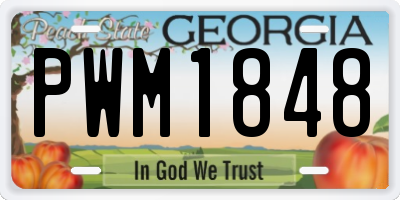 GA license plate PWM1848