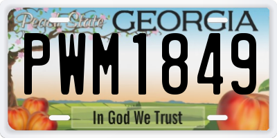 GA license plate PWM1849