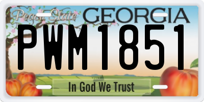 GA license plate PWM1851