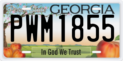 GA license plate PWM1855