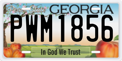 GA license plate PWM1856