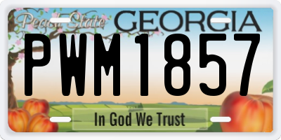 GA license plate PWM1857